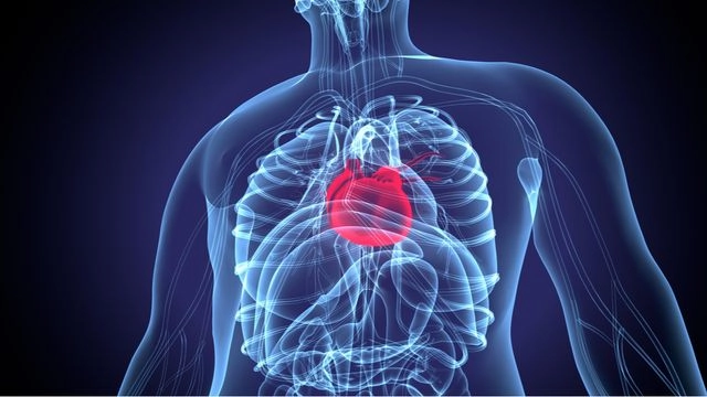 cara menjaga kesehatan jantung