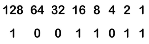contoh bilangan biner